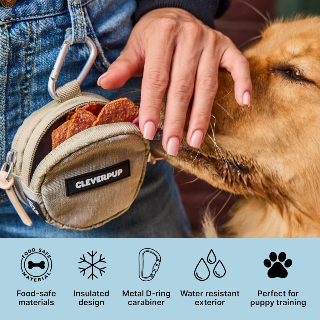 Cleverpup Snackpack Double Insulated Dog Treat Pouch – 1.5 Cup Capacity, 2 BPA-Free Waterproof Zipper Pockets, Carabiner for Belt/Leash – Compact Training & Travel Bag –
