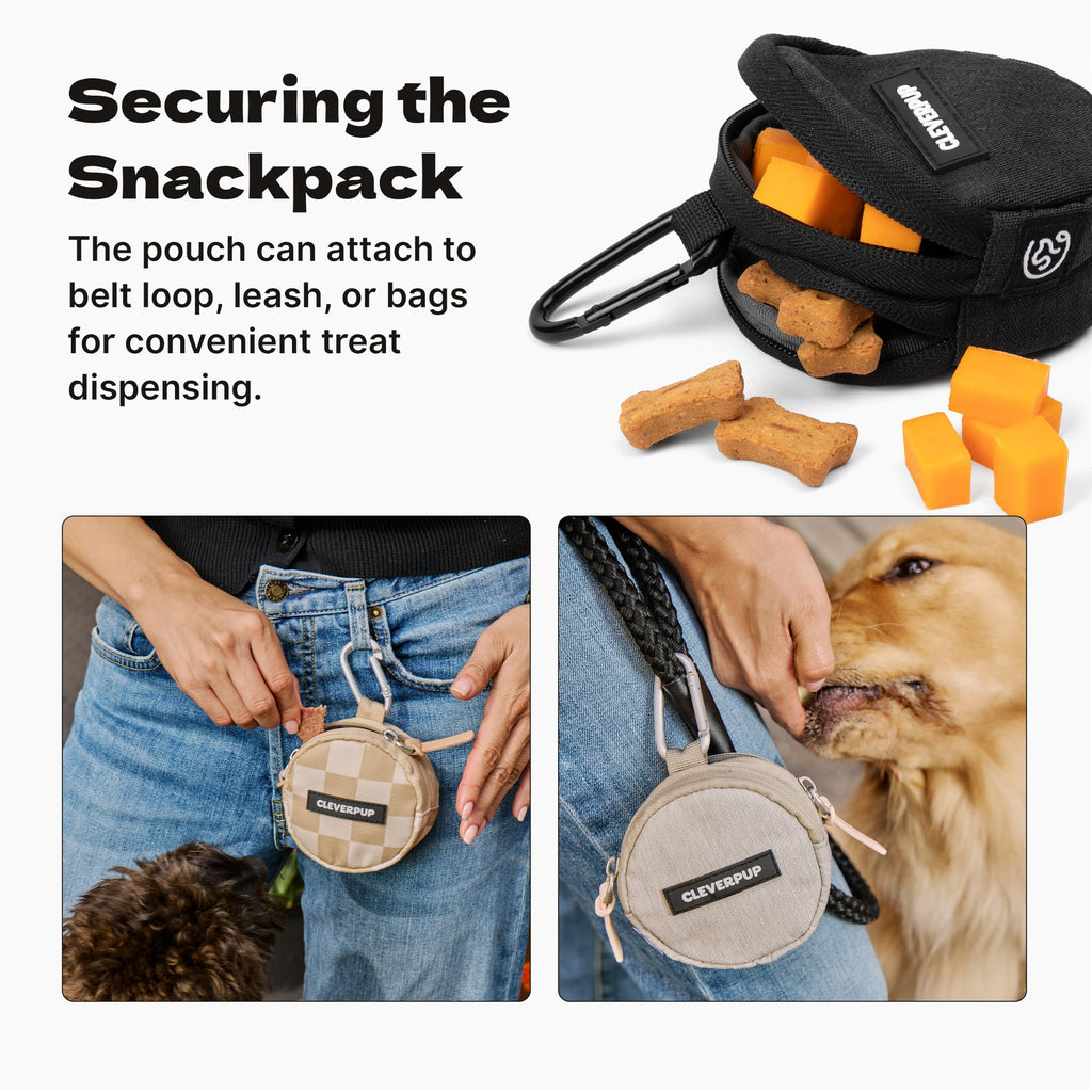Cleverpup Snackpack Double Insulated Dog Treat Pouch – 1.5 Cup Capacity, 2 BPA-Free Waterproof Zipper Pockets, Carabiner for Belt/Leash – Compact Training & Travel Bag –
