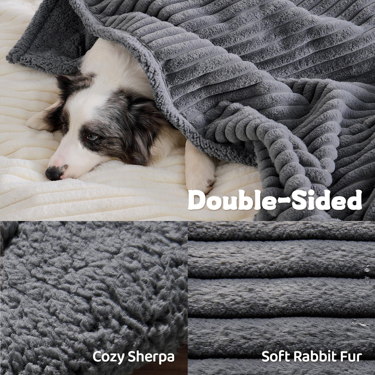 Qeils Waterproof Cat Blanket, Soft Pet Blanket for Sofa Couch
